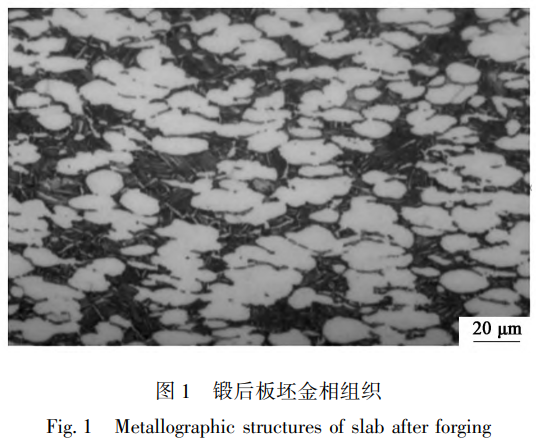 1757474601688765.png 截圖20250910111840.png